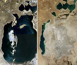 Спътникови снимки на Аралско море от 1989 (ляво) и 2014 г. (дясно)