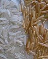 Grãos de arroz branco e arroz integral