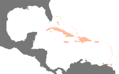 Map of the Caribbean islands