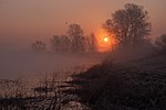 Туман на світанку над озером Глушець. Автор: Alex Arendar, CC BY-SA 4.0