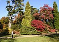 Arboretum Westonbirt, Gloucestershire, Engleska