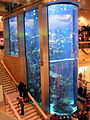 Mega-ostoskeskuksen akvaario.