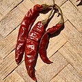 Dried Capsicum annuum Red chili pepper