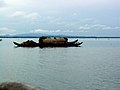 Fishing boat of the Rangamati locals