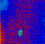 صورة منتصف الأشعة تحت الحمراء (لون خاطئ) لفصل سنتاور عن إلكروس (أحمر-> ساخن ، أزرق-> بارد)