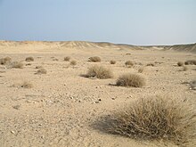 Parte di deserto in Egitto