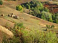 Село Ребељ - јесења панорама