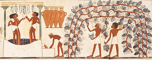 Borkészítés és szüretelés az ókori Egyiptomban