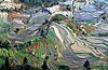 Рисові тераси Хунхе-Хані