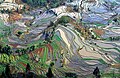 13. Teraszos művelésű rizsföldek a kínai Yunnan (Jünnan) tartományban (javítás)/(csere)