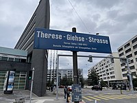 Therese-Giehse-Strasse, Zürich