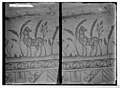 Мозаїка гассандського коня, 700 р н. е.