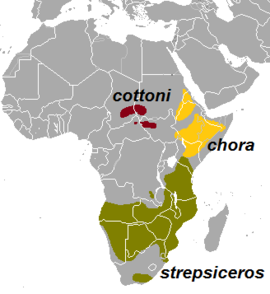 Mapa de distribución das subespecies de Tragelaphus strepsiceros