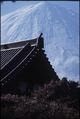 Il Monte Fuji e il Dai-Kyakuden, o Grande Sala del Ricevimento, dove ogni notte dalle 2 alle 4 del mattino viene celebrata la cerimonia di Ushi-Tora Gongyō.