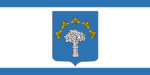 Flag of Chervyen