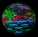 Cảnh bãi biển có vi khuẩn sống trên đĩa Petri, biểu hiện các protein huỳnh quang khác nhau. Bức nghệ thuật vi sinh (2006) của Nathan Shaner.