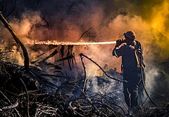 Third place: Firefighter fighting a battle against a veld-fire at Ashton Bay, Jeffreys Bay, Eastern Cape Province, Republic of South Africa. Attribution: StevenTerblanche (CC BY SA 4.0)