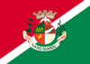 Flag of Baixo Guandu