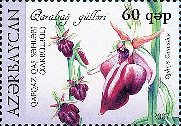 2007 Znamka Azerbajdžana s podobo rože