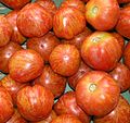 Tomate normal rot-gelb gestreift / Striped tomatoes