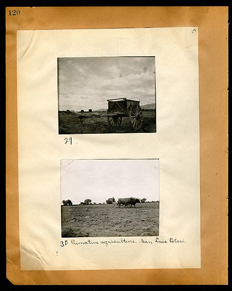 File:Chase album, 1898, 1903, and undated (Page 120) BHL46399555.jpg
