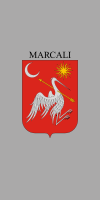 Bandeira de Marcali
