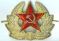 ソビエト連邦軍（陸軍の兵と下士官）