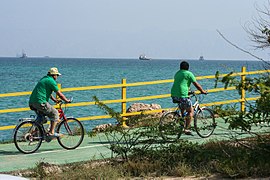 وجود مسیر دوچرخه در سرتاسر جزیره