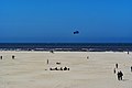 Image 12Beach of Texel (from List of islands of the Netherlands)