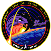 Emblemat SpaceX Crew-9