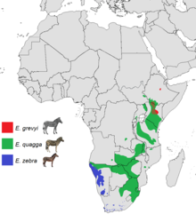 Območje razširjenosti treh živih vrst zeber