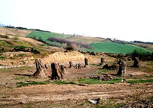 Foresta fossile di Dunarobba