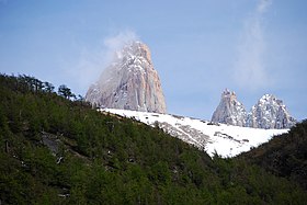 Magellanské lesy v národním parku Torres del Paine