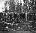 Armeense slagoffers van die Erzurum-pogrom (1895)