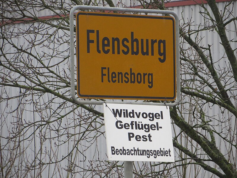 File:Flensburger Ortsschild, Schleswiger Str Richtung Jarplund und Schild Wildvogel Geflügelpest Beobachtungsgebiet (2017), Bild 2.jpg
