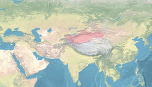 The Yarkent Khanate, Turpan Khanate, and contemporary Asian polities c. 1600