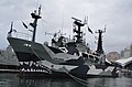 Sam Simon, et af Sea Shepherds skibe fra Sleppið Grindini 2015