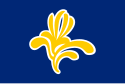 Flag of ಬ್ರಸೆಲ್ಸ್