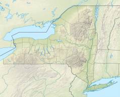 Mapa konturowa stanu Nowy Jork, blisko dolnej krawiędzi po prawej znajduje się punkt z opisem „Liberty Island”