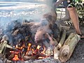 Un cochon mort est jeté sur le feu en le tenant par les pattes arrière pour brûler ses poils (Wallis, 2015).
