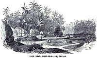View near Point-De-Galle, Ceylon (1847)[2]