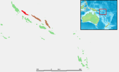 Ilha Choiseul (em vermelho), área de ocorrência confirmada, e ilhas Santa Isabel e Malaita (em marrom), não confirmadas.