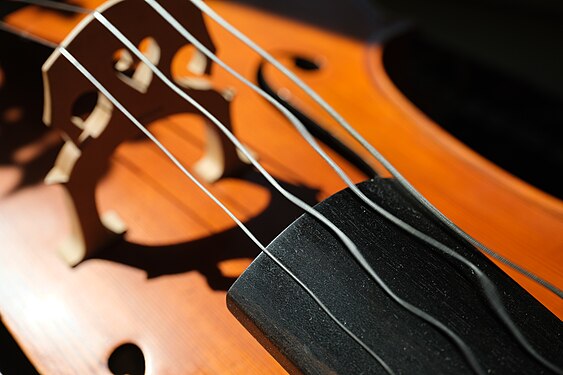 Rolling shutter effect of vibrating cello strings
