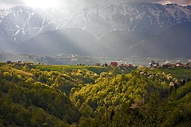 Piatra Craiului mountains