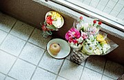 死んだカンガルー[要出典]に供えられた花と果物（北海道・円山動物園、2011年）