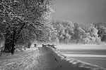 Зимовий ранок у Парку імені Михайла Чекмана, © Зисько Сергій, CC-BY-SA 4.0