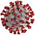 توضيحٌ للفيروس المسبب لمرض فيروس كورونا 2019