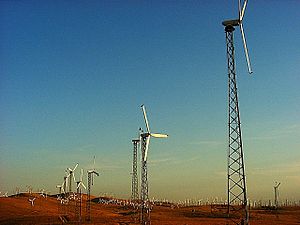 Några av de 4 900 vindkraftverken i Altamont Pass vindkraftspark i Kalifornien som byggdes på 1970-talet i samband med oljekrisen.