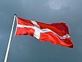 Det danske Dannebrog er eit av dei eldste flagga i verda, og er vorte brukt sidan slutten av 1300-talet.