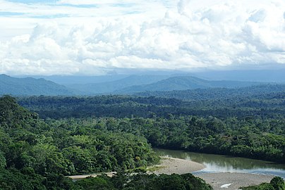 Ekvador sınırları içinde Amazon Yağmur Ormanları